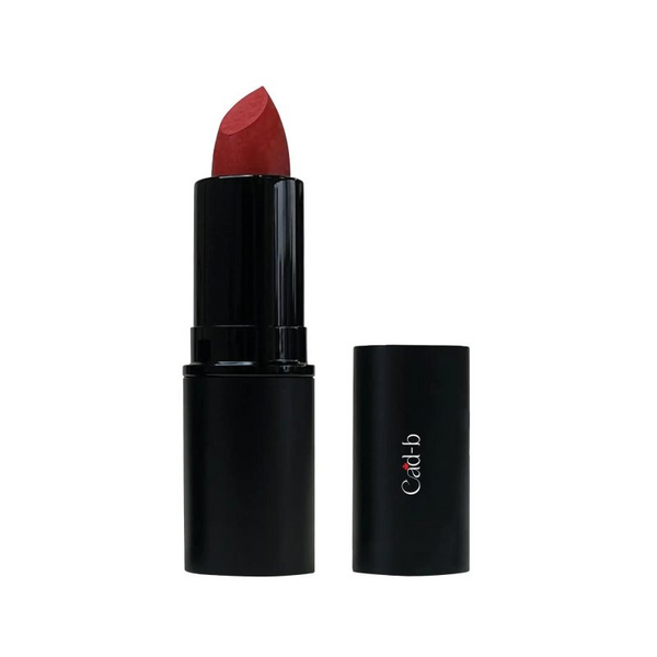 Lipstick - Fire Cracker Red - 294P | Paraben Free, Cruelty Free