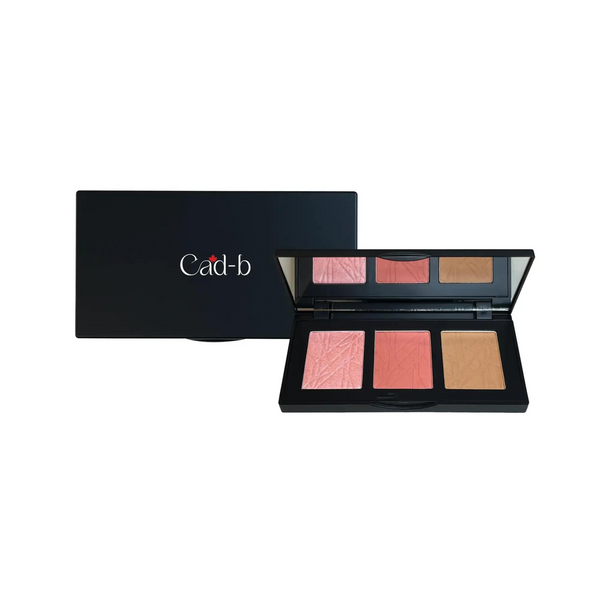 Pro Cheek Palette in both Matte and Shimmer Shades - Blushy - PCP51 | Vegan, Cruelty Free, Paraben Free, Talc Free